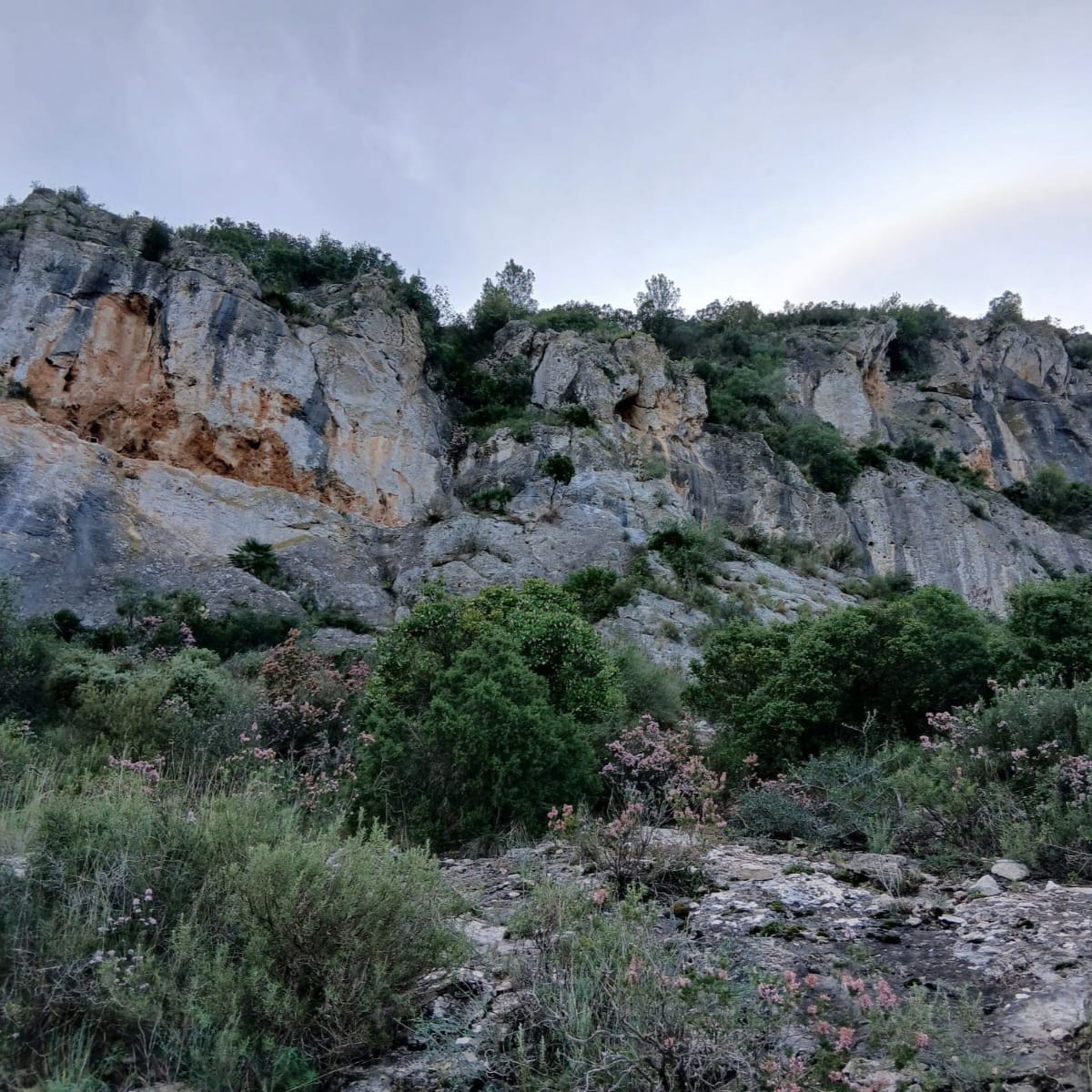 Vía Ferrata el Pesebre dels Corbs (K3)