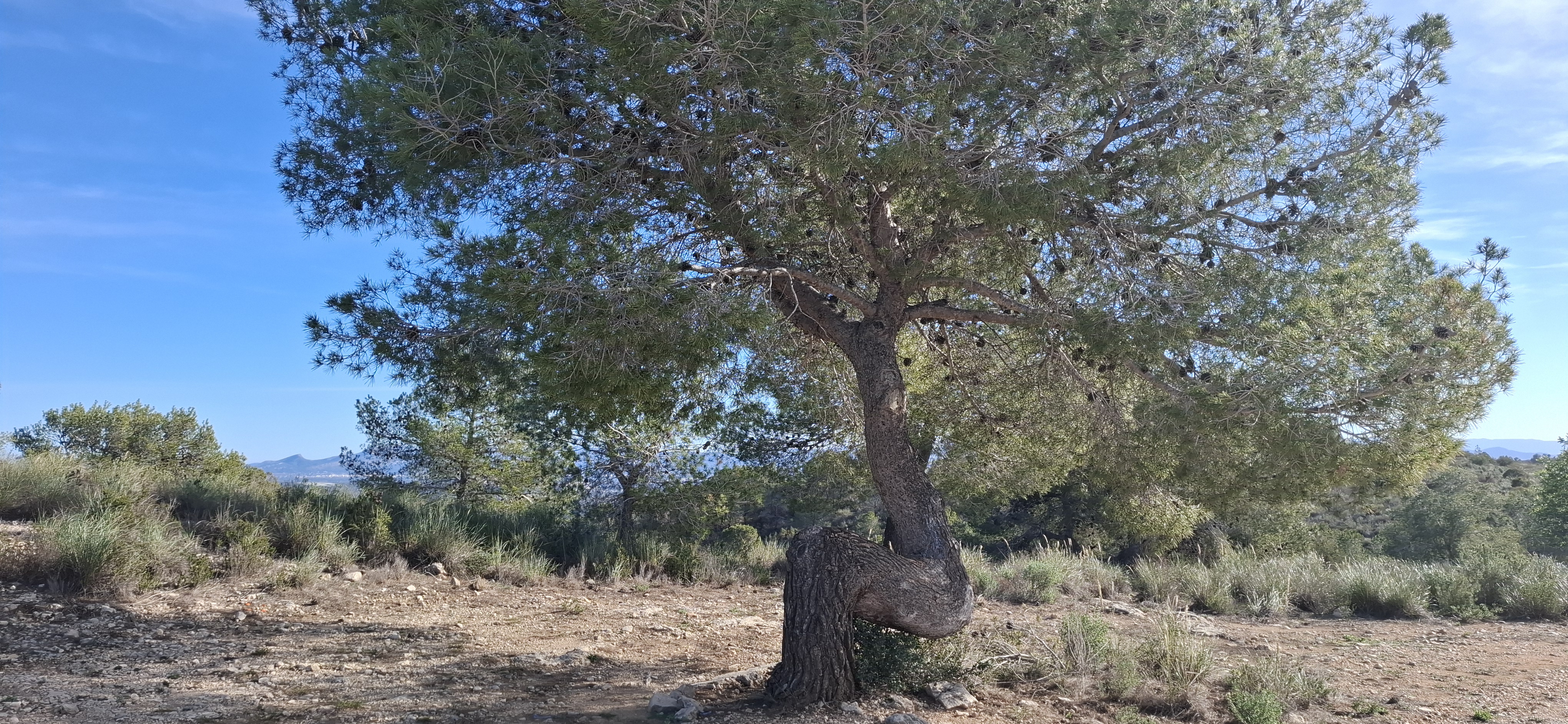 Sumarcàrcer, sendas y río Júcar