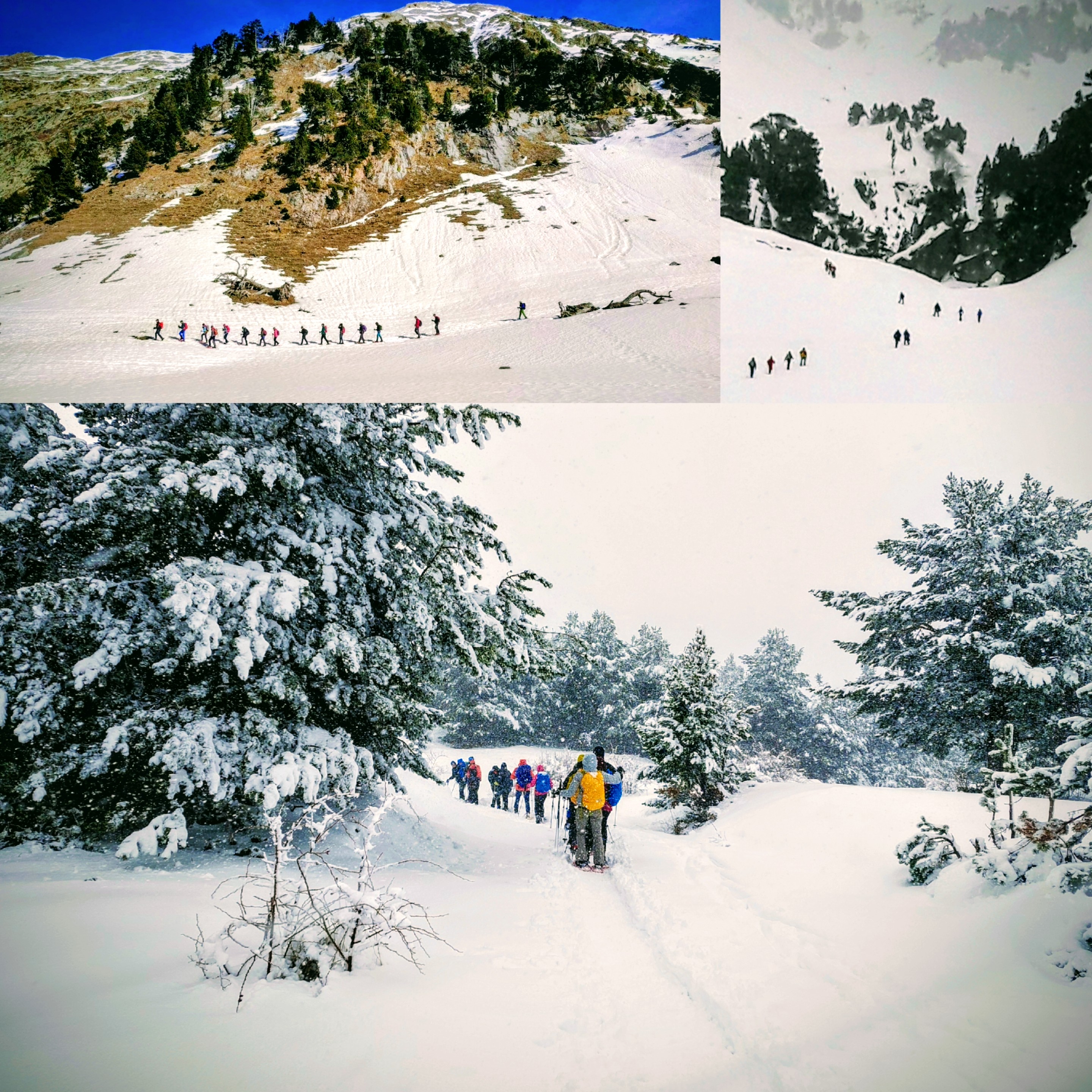 Raquetas en BENASQUE