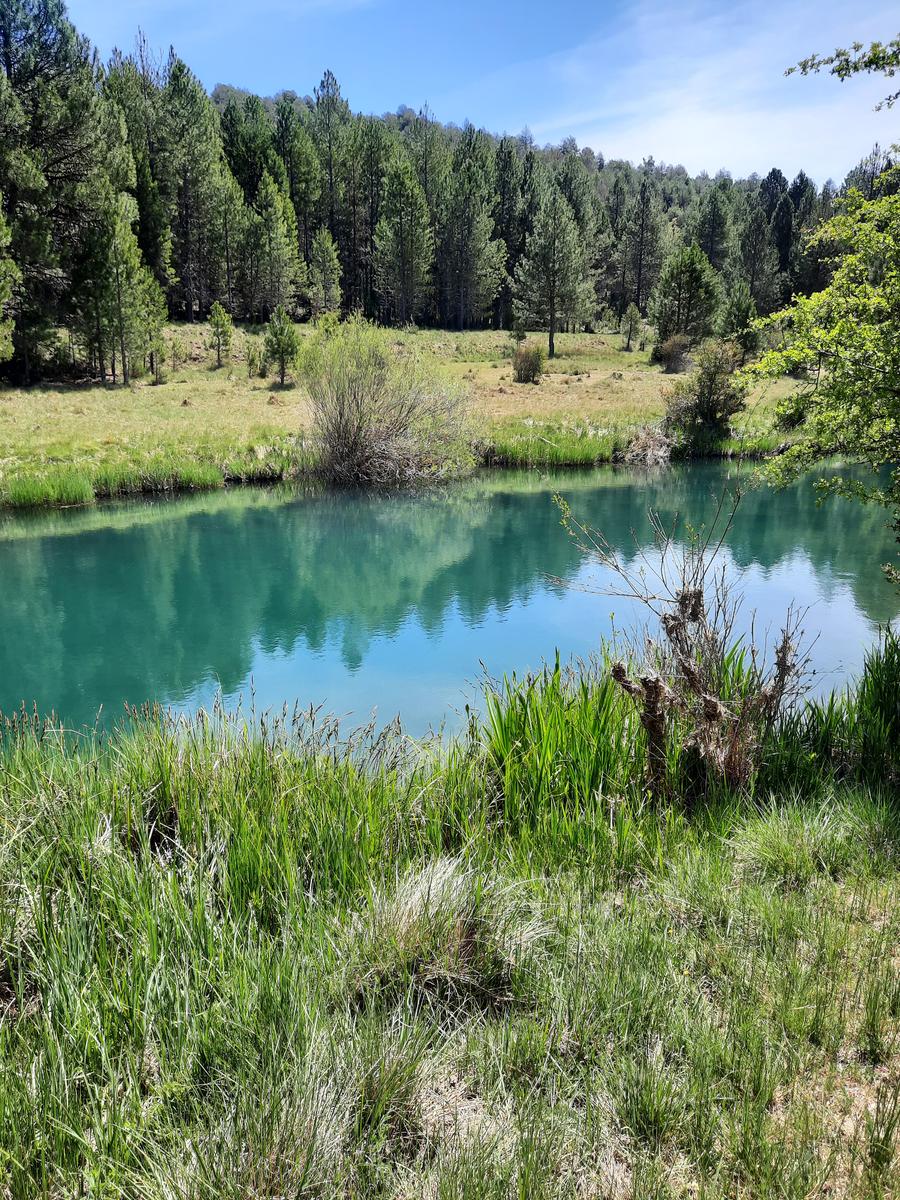 Semana Santa: Vega del Codorno – Tragacete
