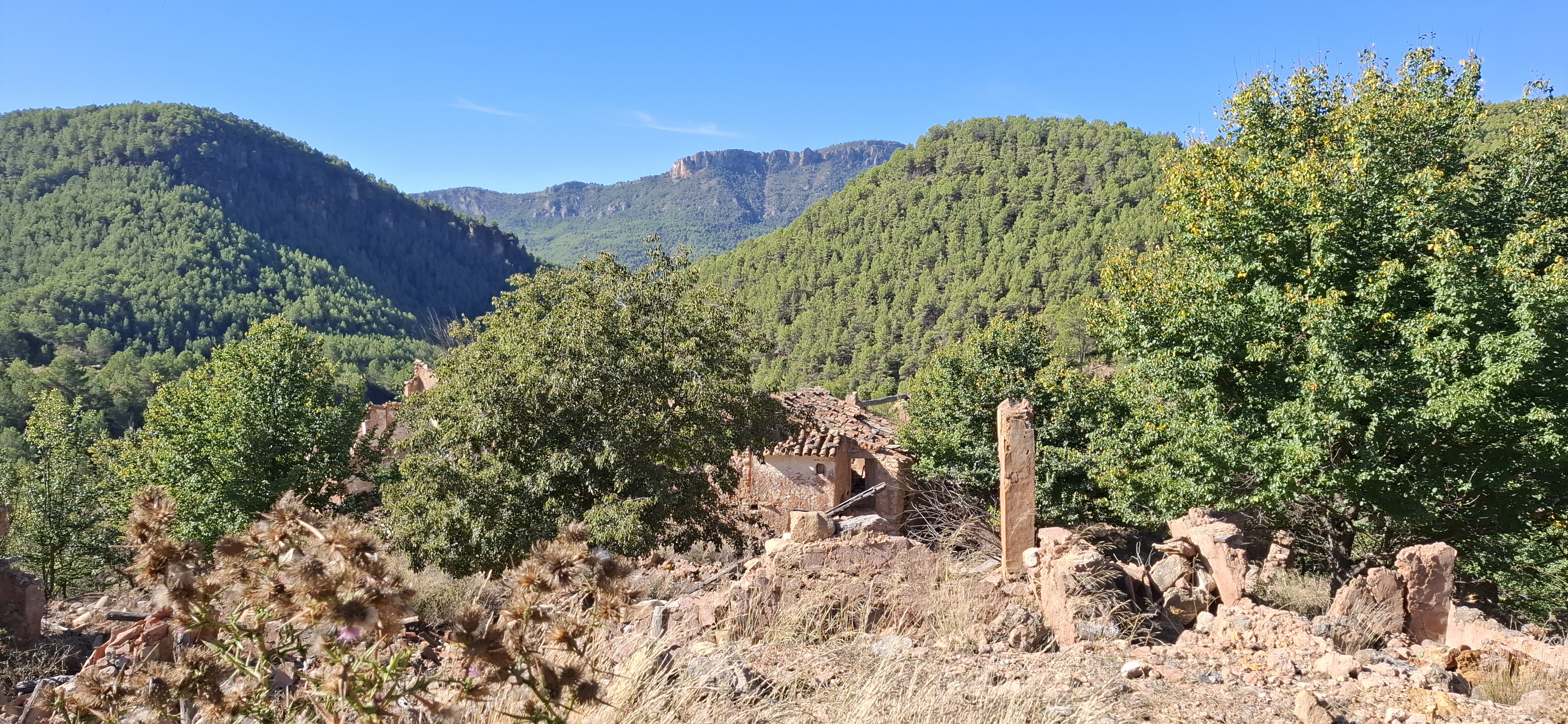 La Golosilla y La Clocha