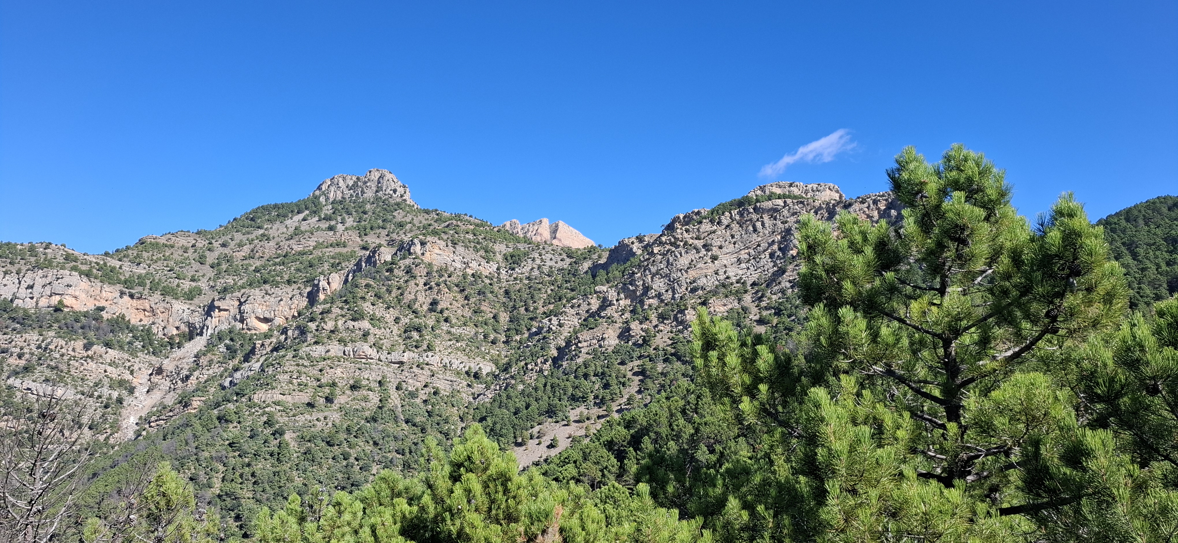 La Golosilla y La Clocha