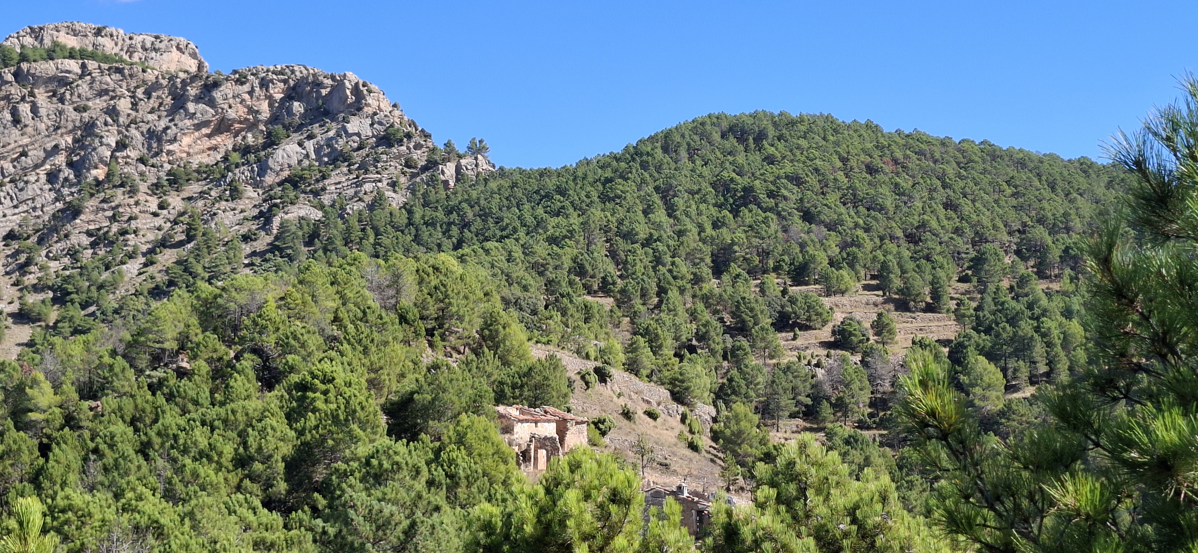 La Golosilla y La Clocha