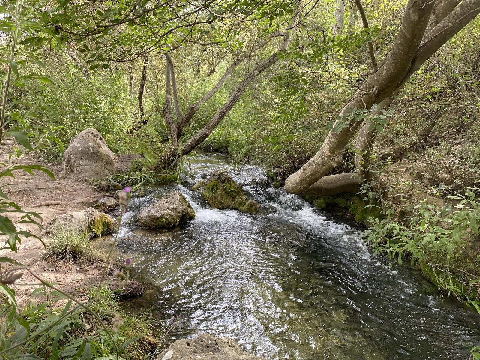 Nacimiento del río Vinalopó, Banyeres de Mariola y visita a Bocairent.